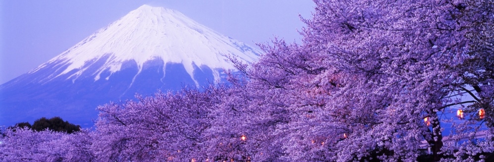 japan-fuji